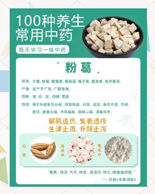 葛根粉的功效与作用大揭秘！每天一勺，身体悄悄发生这些惊喜变化