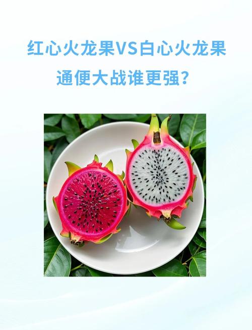 吃火龙果会拉肚子吗?揭秘红心白心的区别与正确吃法!