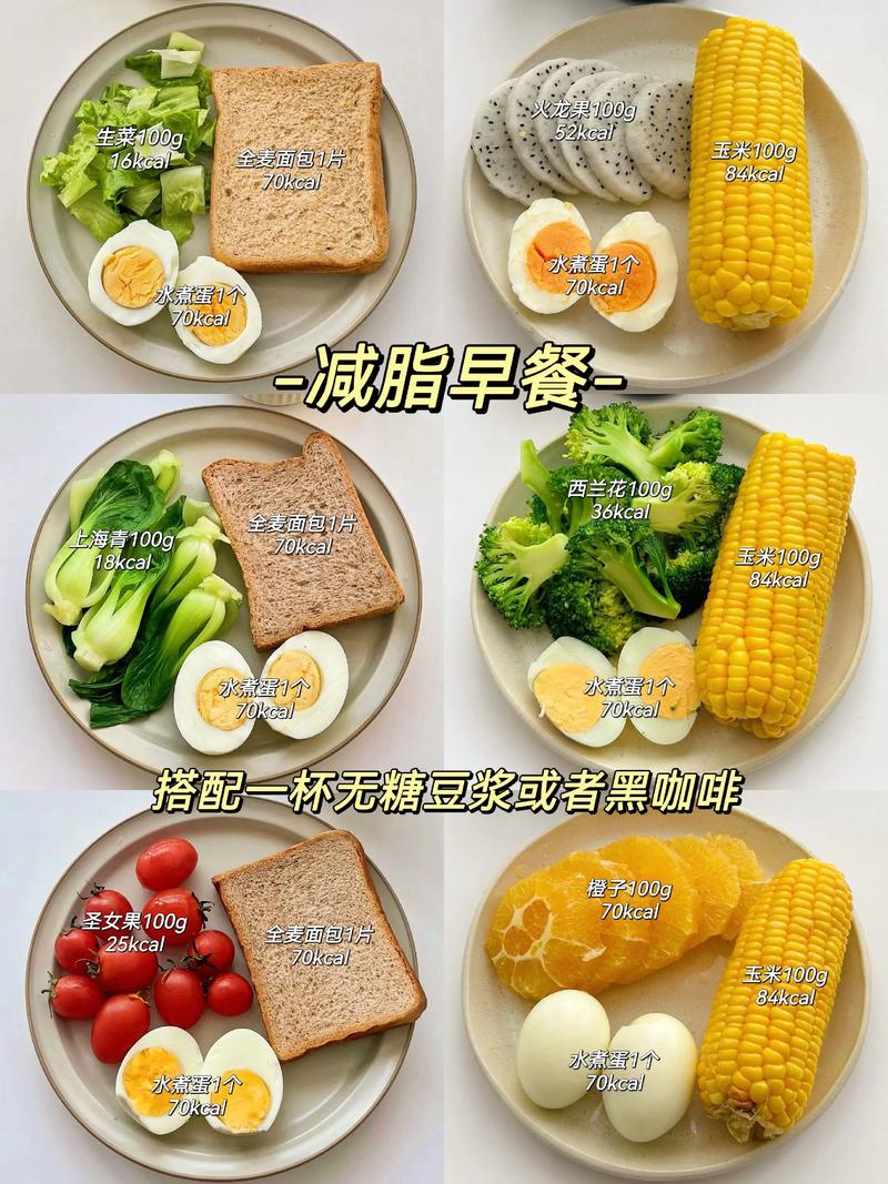 15天减肥食谱大公开！轻松有趣吃出好身材，告别臃肿就这么简单