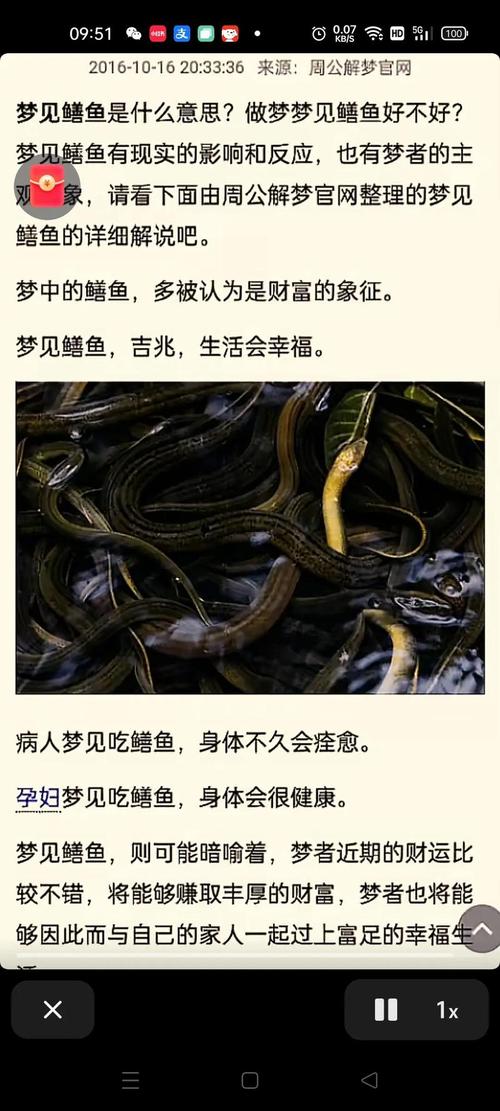 孕妇梦见被黄鳝咬？别慌！这可能是宝宝在给你发“信号”