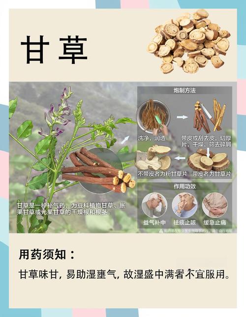 甘草的功效与作用:没想到这根