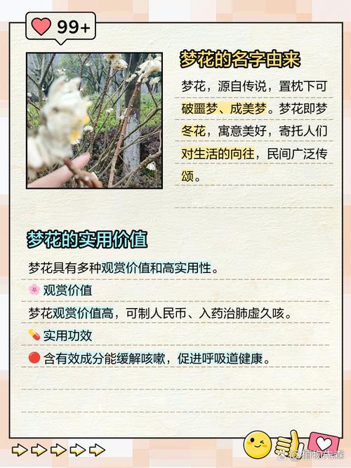 孕妇梦见花是什么意思?准妈妈必看,这些胎梦暗示太神奇了!