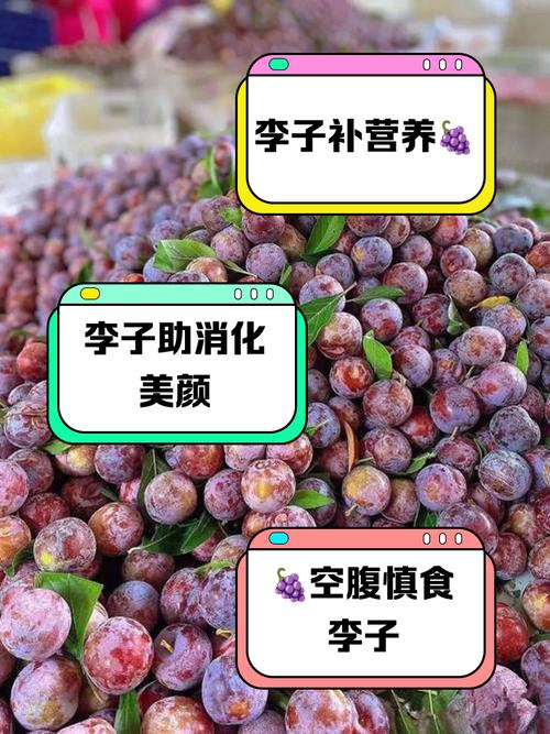 月经期间可以吃李子吗？经期吃对李子，轻松缓解不适又养颜！
