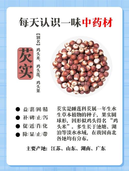 芡实的作用与功效，每天吃一点，身体悄悄变轻松！