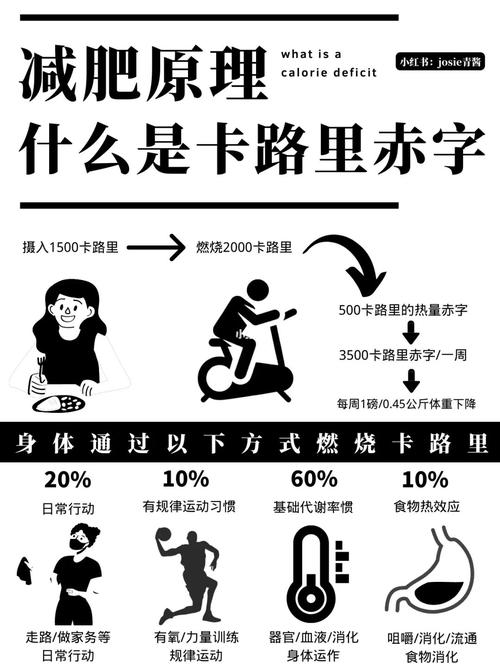 卡路里单位大揭秘:搞懂它,你的减肥就成功了一半!