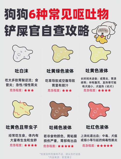 拉肚子想吐是什么原因？别慌！专家教你轻松应对肠胃“小情绪”