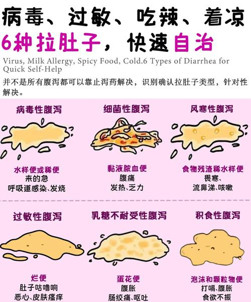 拉肚子是怎么回事？别慌！专家教你轻松应对，快速止泻！