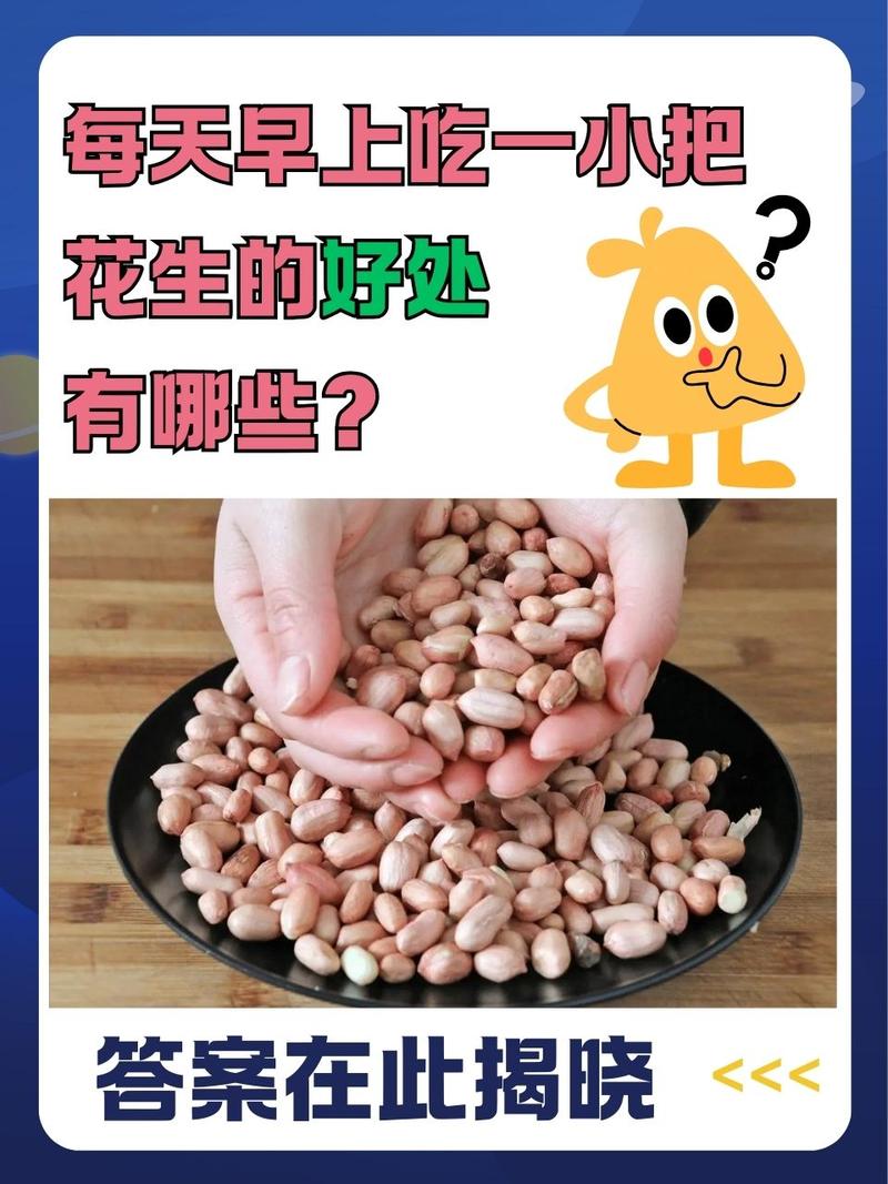 花生的功效与作用，每天一把竟能带来这些惊喜变化！