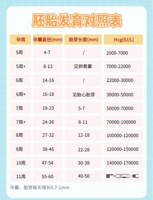 孕囊多大可以人流？关键尺寸别错过，安全选择要趁早！
