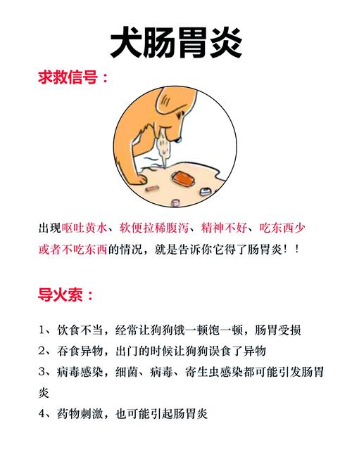 拉肚子恶心想吐怎么回事？别慌！这几种情况要当心