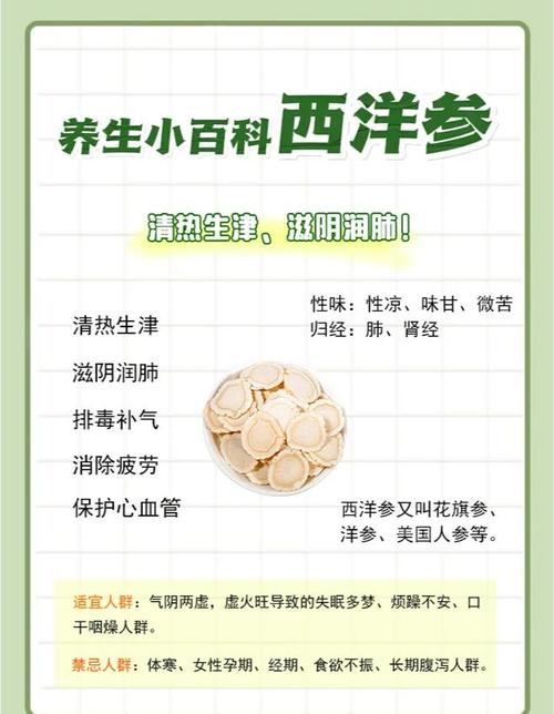 西洋参对男性性功能有效吗？揭秘它如何悄悄提升你的活力与自信！