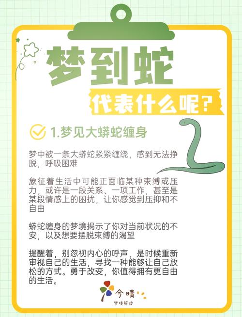 孕妇单胎梦见两条蛇?别慌!这5个有趣解读助你轻松读懂胎梦信号