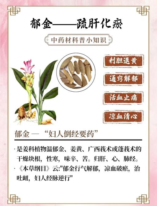 郁金的功效与作用大揭秘！轻松养肝解郁，让你每天都神采奕奕