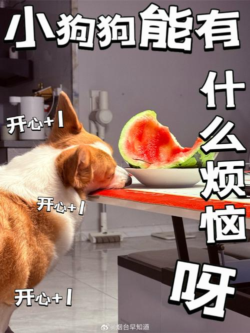 《卡路里》完整版舞蹈燃脂实测：笑着跳完居然少啃三天沙拉！