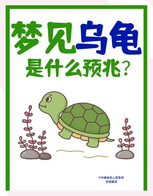 孕妇梦见乌龟是胎梦吗？揭秘准妈妈梦境背后的温馨寓意！