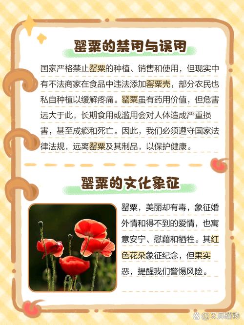 鸦片的危害有多大？轻松看懂它对身体和生活的可怕影响！