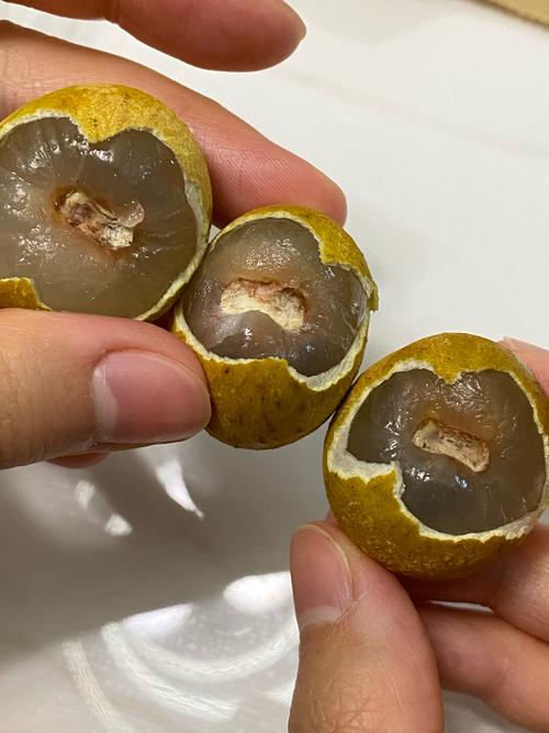 龙眼吃多了会拉肚子吗？小心甜蜜陷阱让你“一泻千里”！