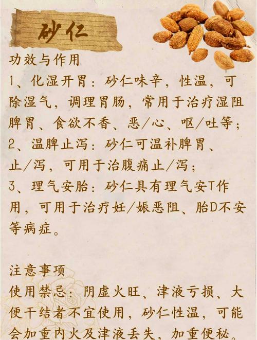 砂仁的功效与作用：小小果实竟能调理脾胃、缓解胀气，身体舒畅的秘密在这里！