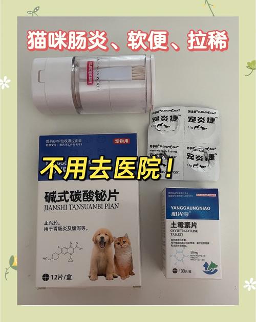 小猫拉肚子吃什么药管用？铲屎官必看的安全用药指南！