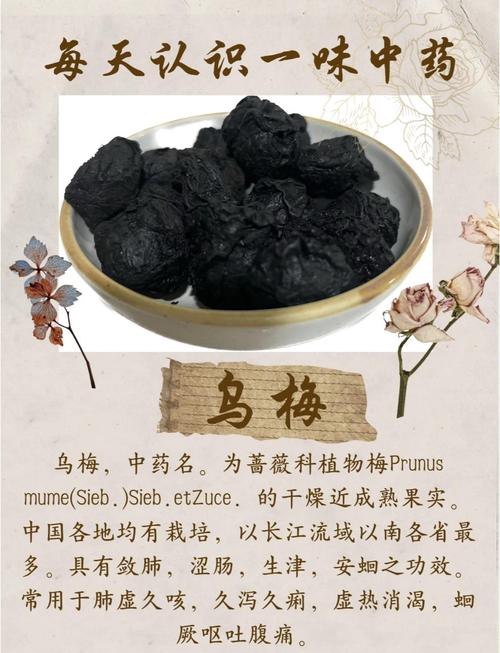 乌梅的功效与作用大揭秘！每天吃几颗，身体竟有这些惊喜变化