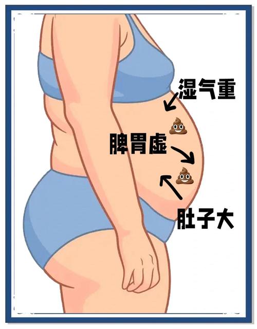 女人肚子大是湿气重吗?3个信号教你轻松判断,告别臃肿小腹!