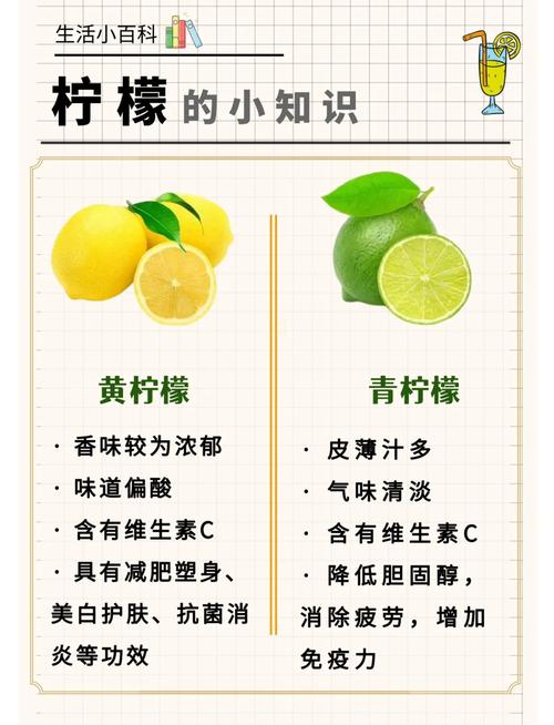 柠檬水的功效与作用：每天一杯，身体悄悄发生的5个惊喜变化！