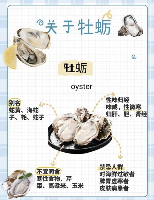 牡蛎的功效与作用全解析：这样吃，轻松养出好气色与活力！