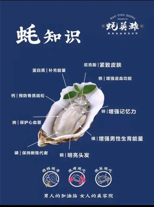 牡蛎的功效与作用全解析：这样吃，轻松养出好气色与活力！