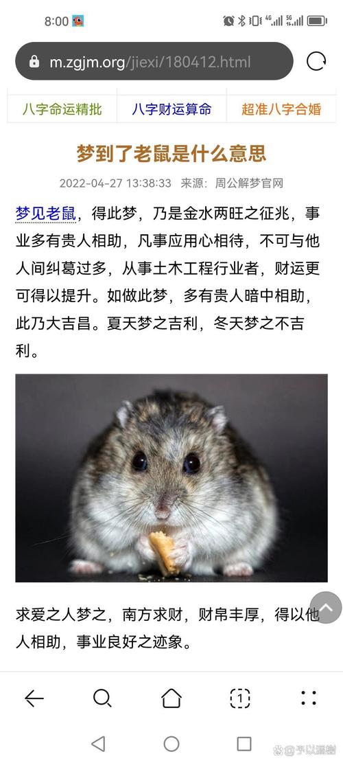 孕妇梦见老鼠周公解梦：轻松读懂胎梦暗示，这些细节准妈妈必看！