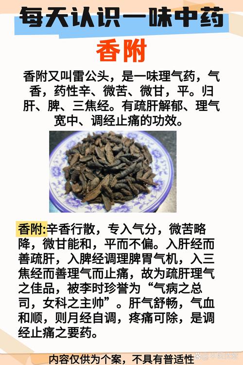 香附的功效与作用全解析：轻松调理气血，让你每天都神采飞扬！