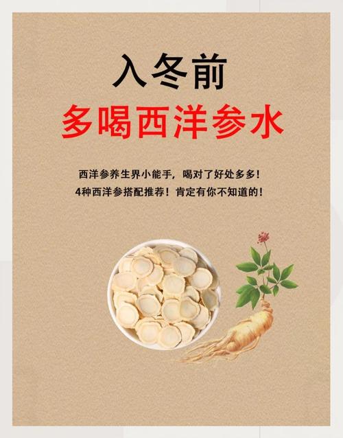 经期能喝西洋参水吗？小心喝错反伤身，这份指南让你安心调理！