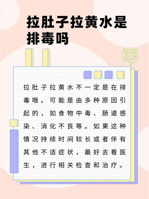 拉肚子是排毒吗?别让身体“误报警”,这些信号要警惕!