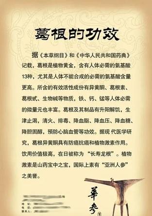 葛根对男性性功能的影响有多大？这5个惊喜变化让你迫不及待想试试！