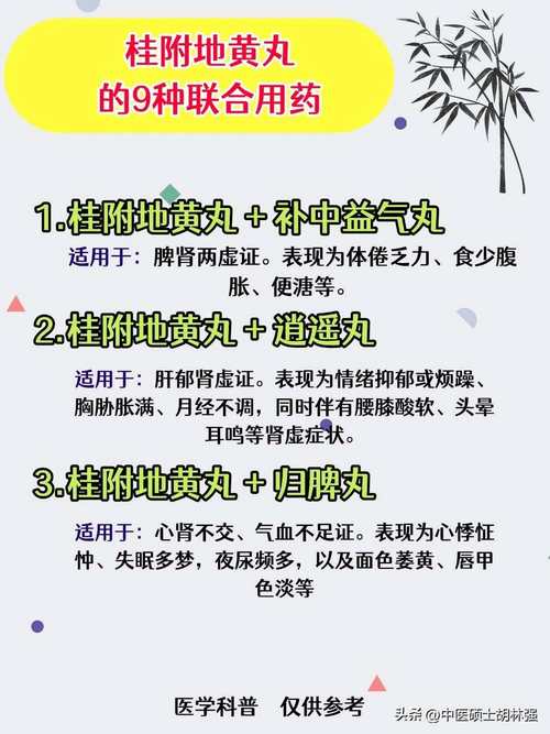 桂附地黄丸的作用与功效全解析：轻松掌握身体调理秘诀，让你健康又活力！