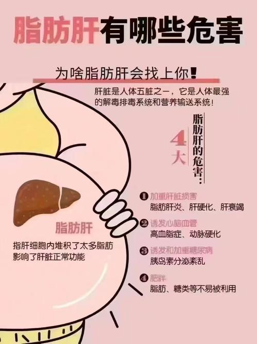 脂肪肝危害有多大？别等肝脏“胖”到报警才后悔！