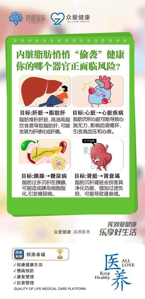 脂肪肝危害有多大？别等肝脏“胖”到报警才后悔！