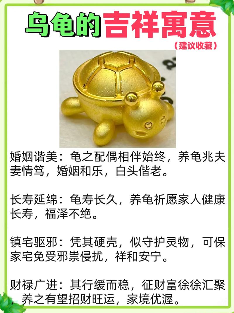 孕妇梦见乌龟在水里游？别慌！这5个吉祥寓意让你安心又惊喜
