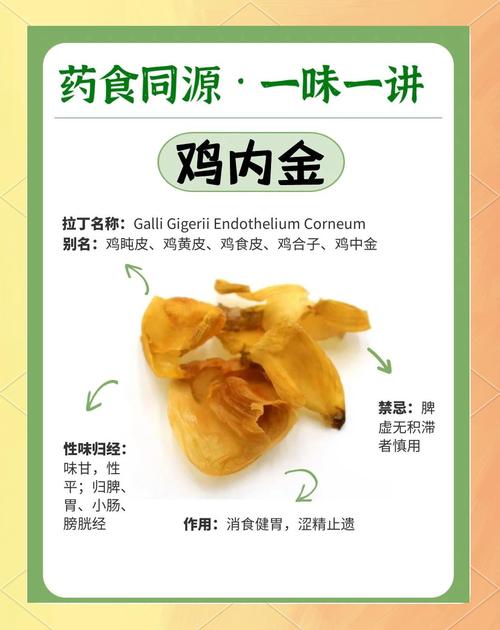 鸡内金的功效与作用大揭秘：轻松养胃助消化，身体悄悄变健康！