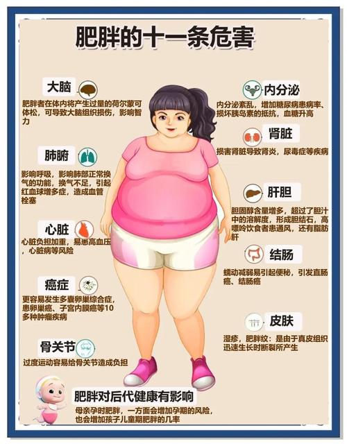 肥胖对身体的危害有哪些？看完这几点你可能坐不住了！