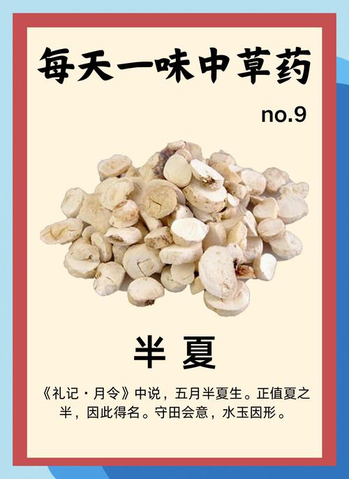 半夏的功效与作用全解析：轻松掌握这味中药的奇妙力量！