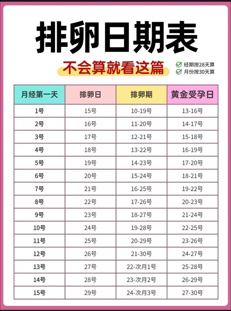 人流后多久排卵？抓住这个关键期，轻松备孕不迷茫！