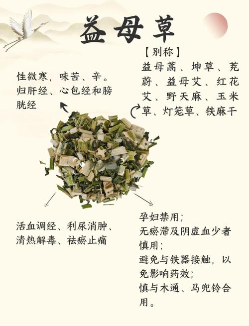 益母草经期可以吃吗？经期调理必知的黄金法则与禁忌！
