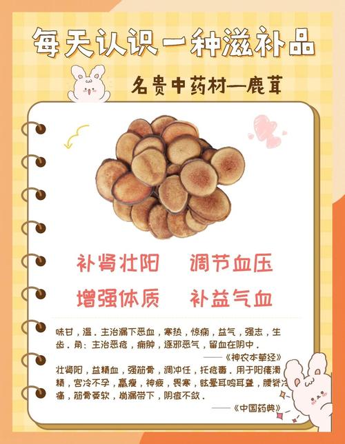 鹿茸对男性性功能的作用：轻松提升活力，重拾自信魅力！