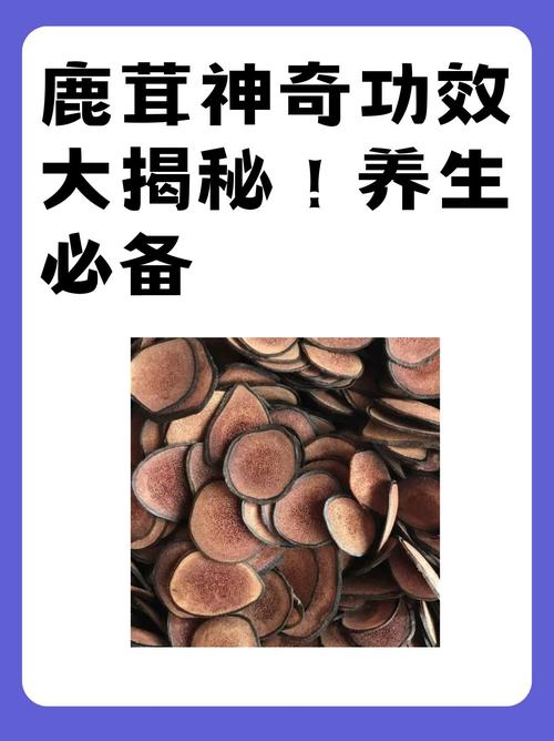 鹿茸对男性性功能的作用:轻松提升活力,重拾自信魅力!