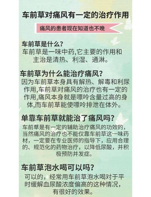 车前草能治痛风吗？揭秘这种路边小草的惊人功效与正确用法！