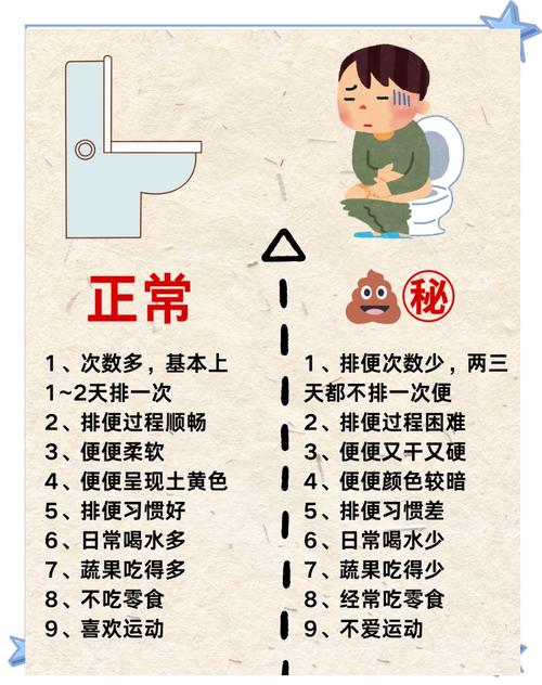 便秘是什么原因引起的？轻松搞懂这几点，告别困扰！