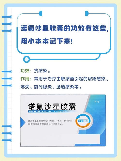 诺氟沙星胶囊的作用与功效:轻松搞懂它如何成为肠胃“救急卫士”