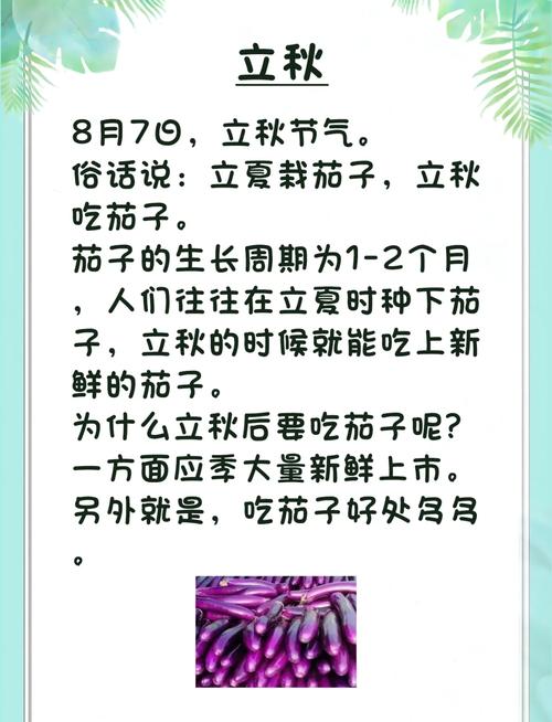 茄子的功效与作用大揭秘!这样吃竟能降压又养颜,你吃对了吗?