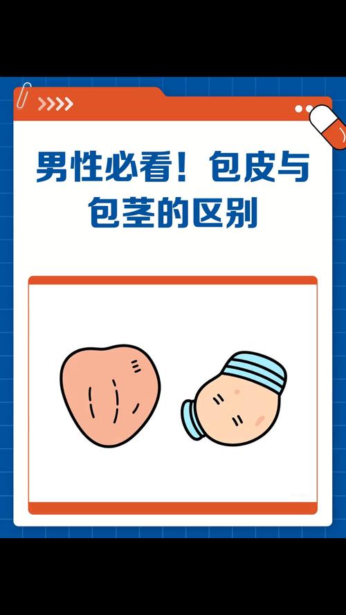 包皮过长和包茎区别大揭秘!别让“小问题”拖成健康大麻烦