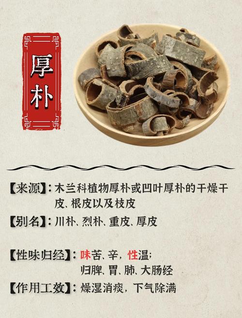 厚朴的功效与作用有哪些？轻松读懂这味中药的奇妙力量！